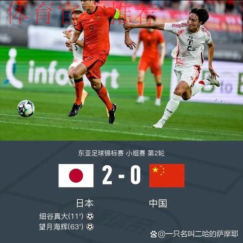 2-0完胜!日本又杀疯了,连赢2大南美+非洲强队,进世界杯8强有戏